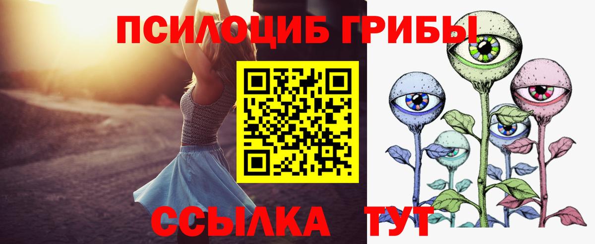 Галлюциногенные грибы Psilocybine cubensis Россошь