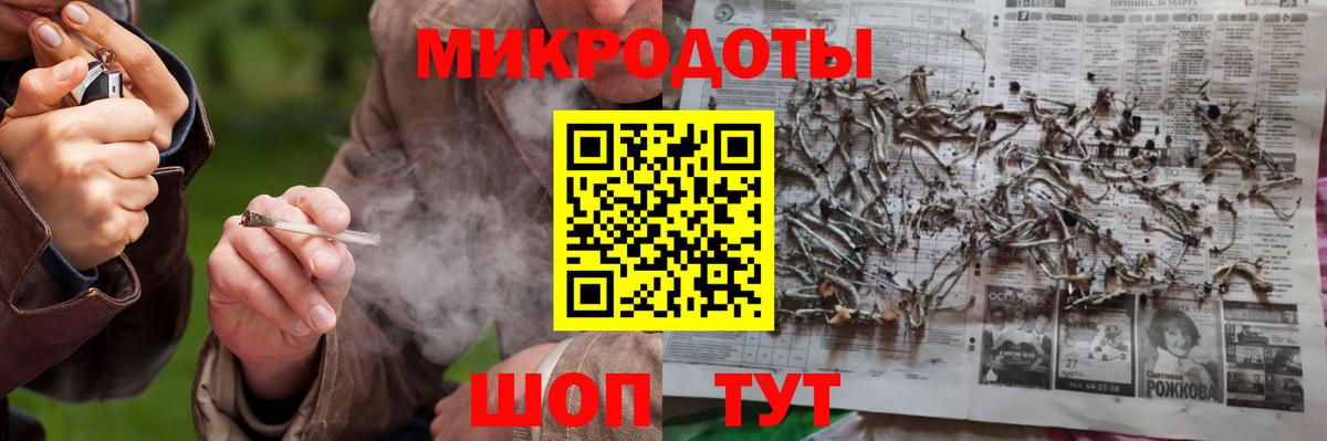 купить  цена  Псилоцибиновые грибы GOLDEN TEACHER  Вход с VPN  Россошь 